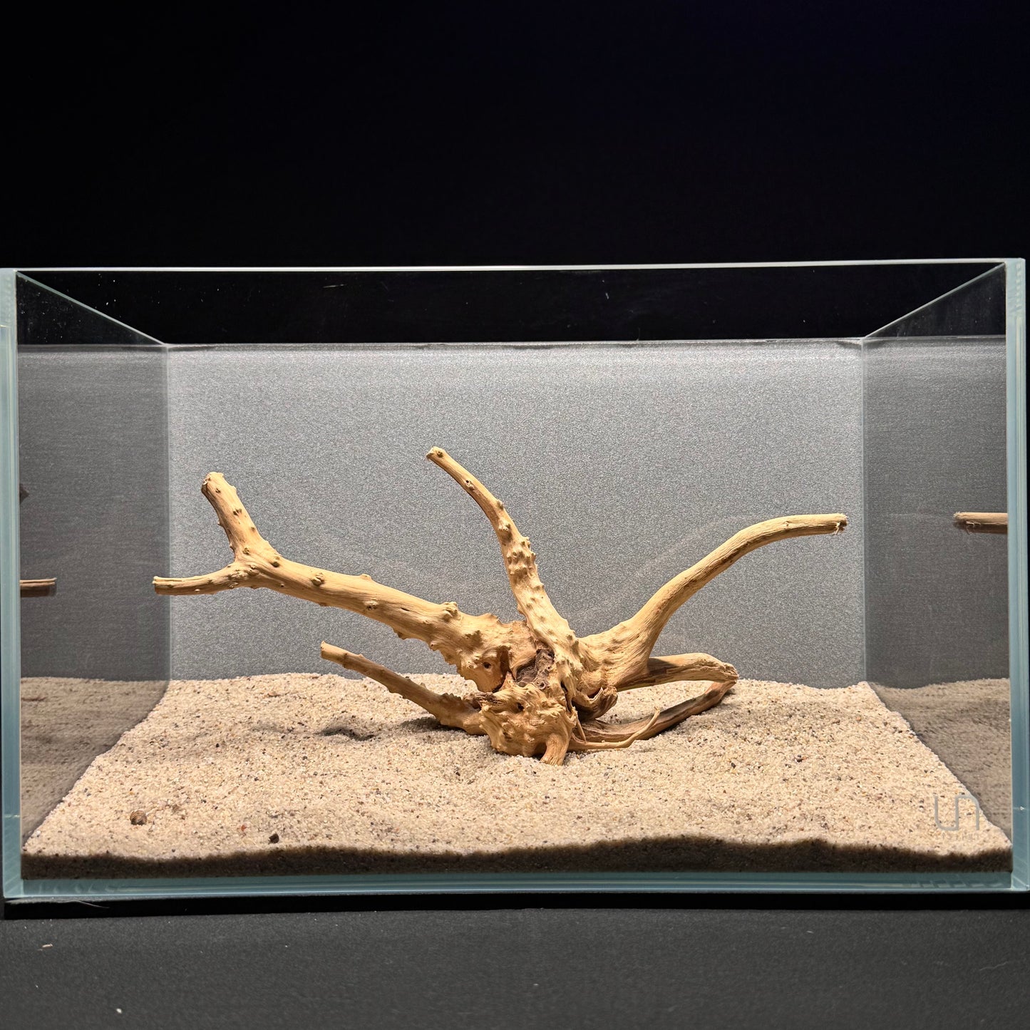 Spiderwood for Aquarium (8-10")