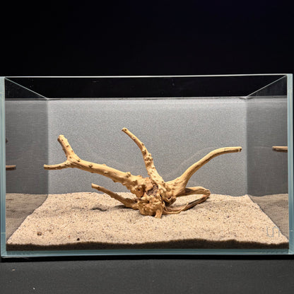 Spiderwood for Aquarium (8-10")