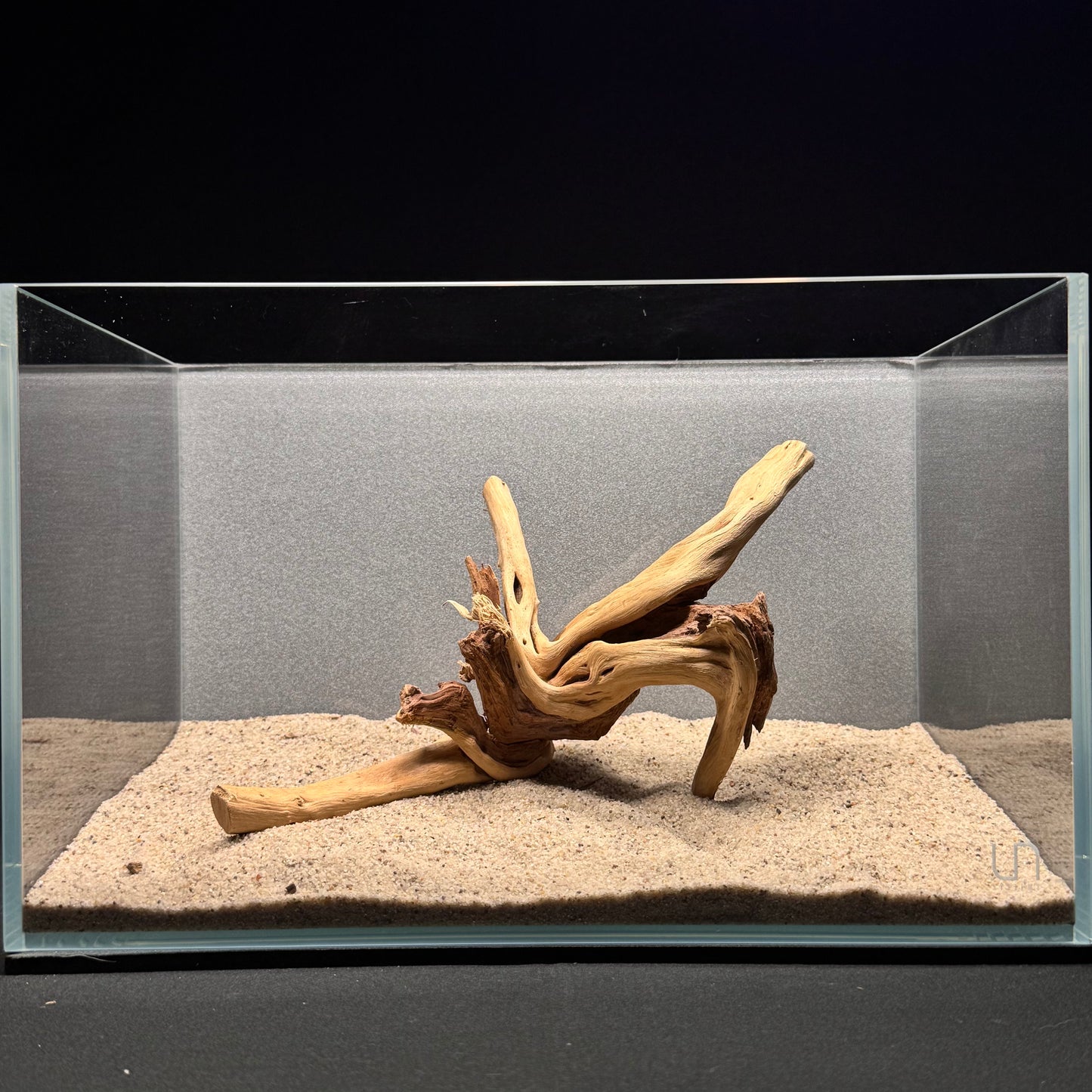 Spiderwood for Aquarium (8-10")