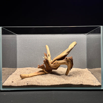 Spiderwood for Aquarium (8-10")