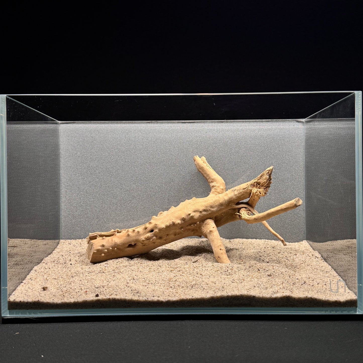 Spiderwood for Aquarium (8-10")