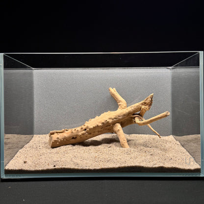Spiderwood for Aquarium (8-10")