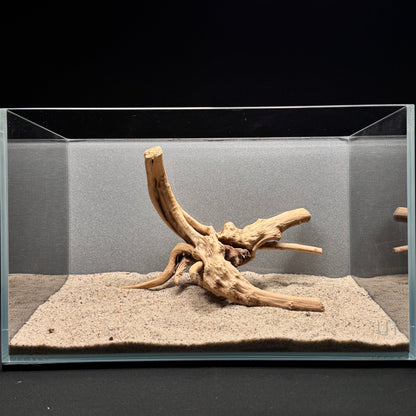 Spiderwood for Aquarium (8-10")