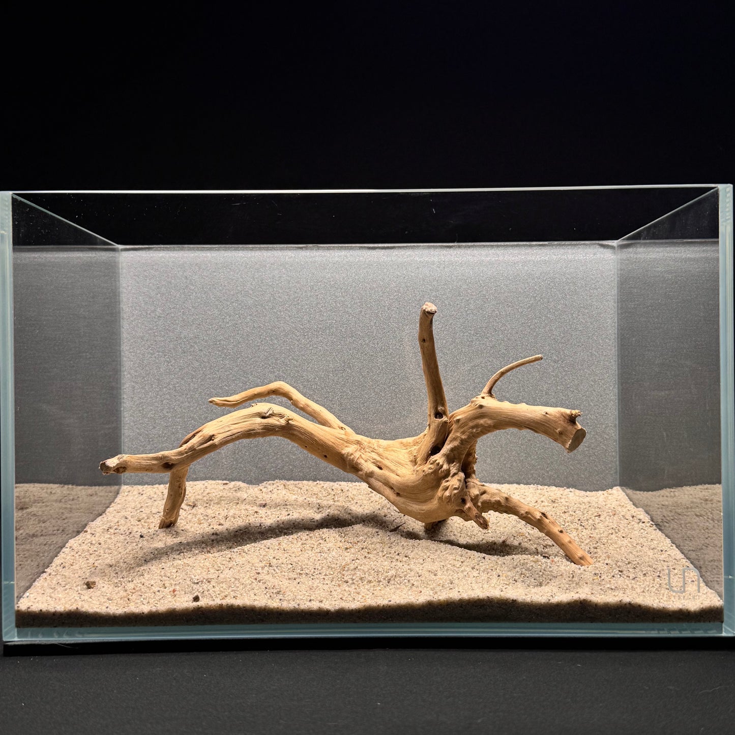 Spiderwood for Aquarium (8-10")