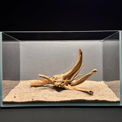 Spiderwood for Aquarium (8-10")