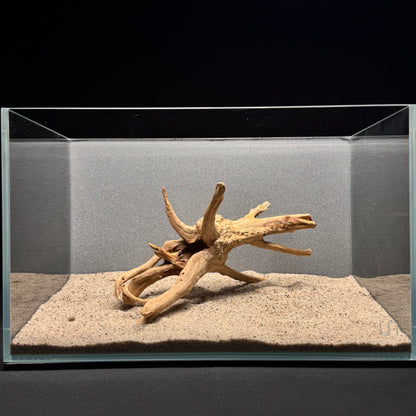 Spiderwood for Aquarium (6-8")