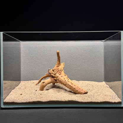 Spiderwood for Aquarium (6-8")