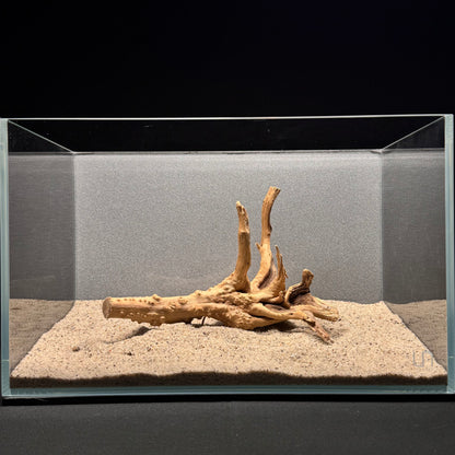 Spiderwood for Aquarium (6-8")