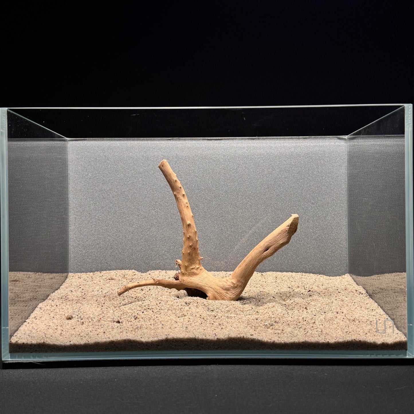 Spiderwood for Aquarium (6-8")