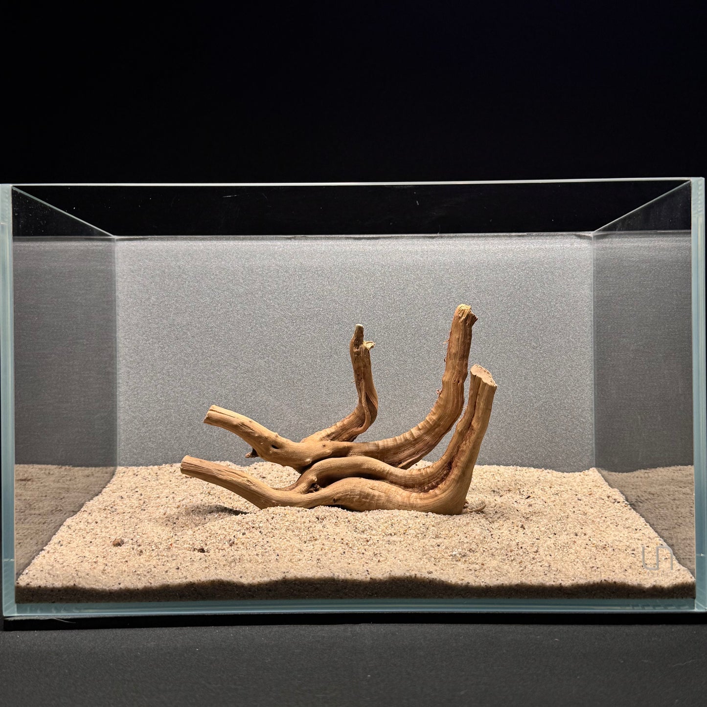 Spiderwood for Aquarium (6-8")
