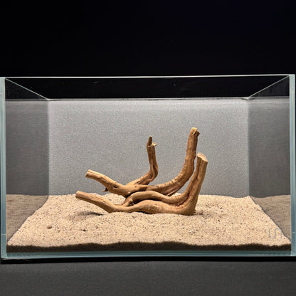Spiderwood for Aquarium (6-8")