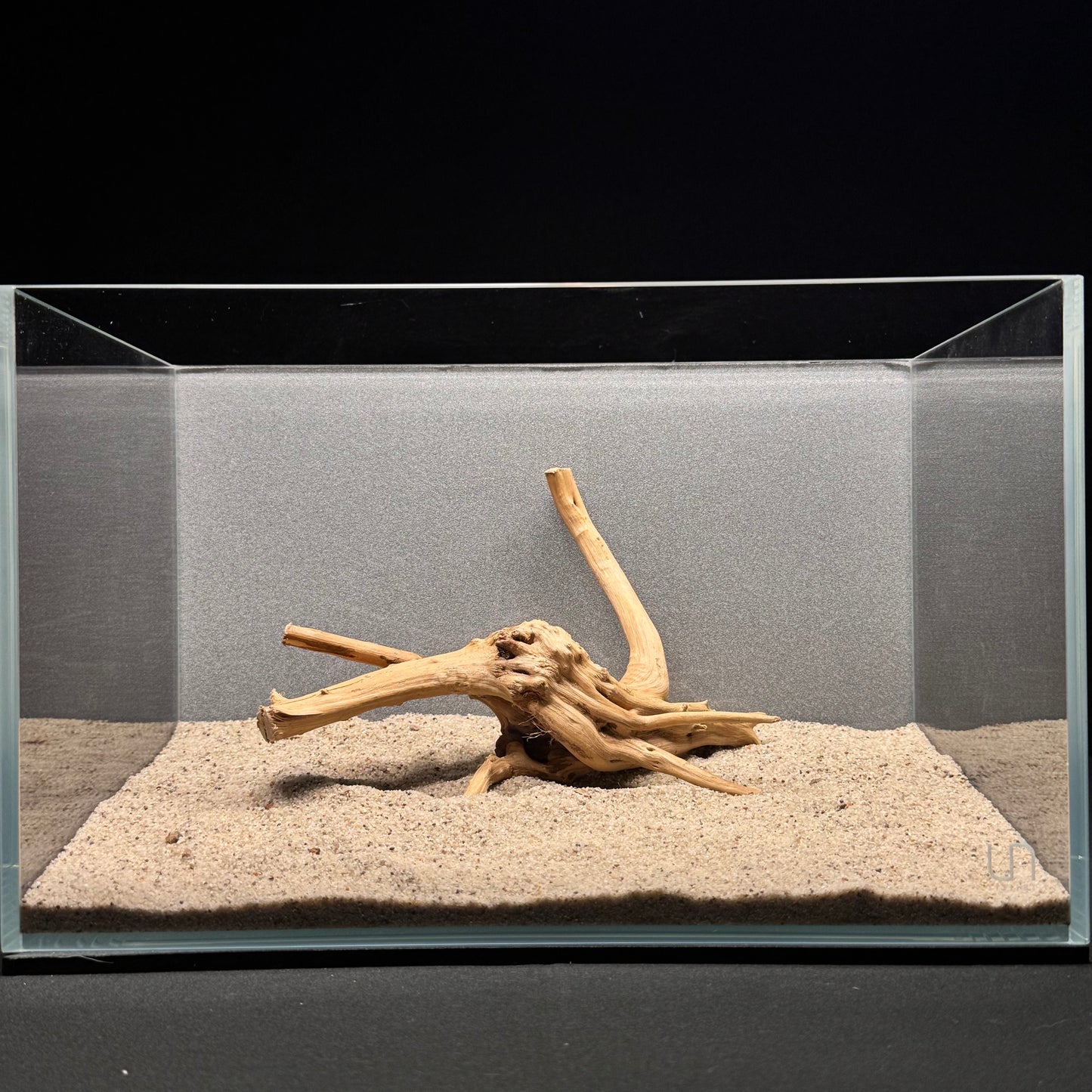 Spiderwood for Aquarium (6-8")