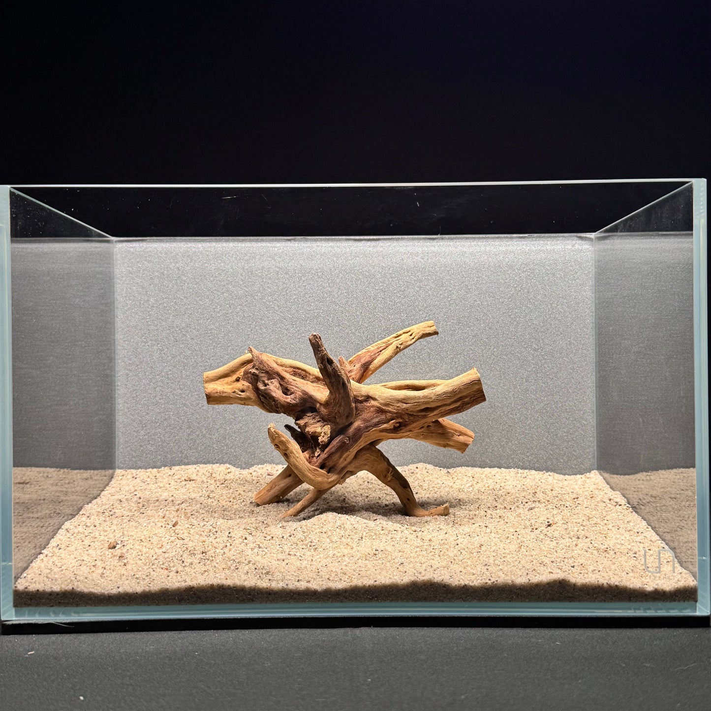 Spiderwood for Aquarium (6-8")
